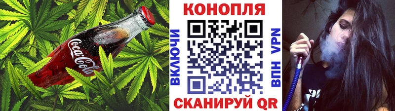 закладки  Ковылкино  Cannafood конопля 