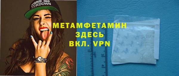 молекула духа Богданович