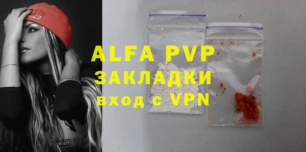 молекула духа Богданович
