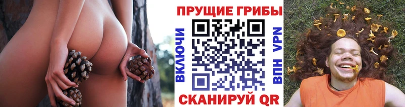 купить наркотики цена  kraken сайт  Галлюциногенные грибы ЛСД  Ковылкино 